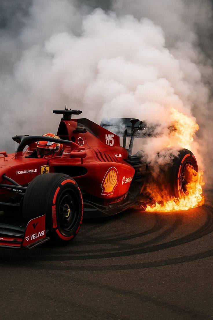 Mono en la naturaleza